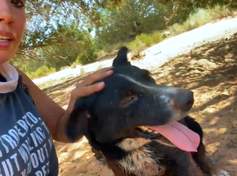 Dogtown caregiver, Alaina, with Chaos the dog in the dog park